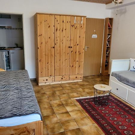 Apartment Betzenberg, Nur Netflix Kaiserslautern Exteriör bild