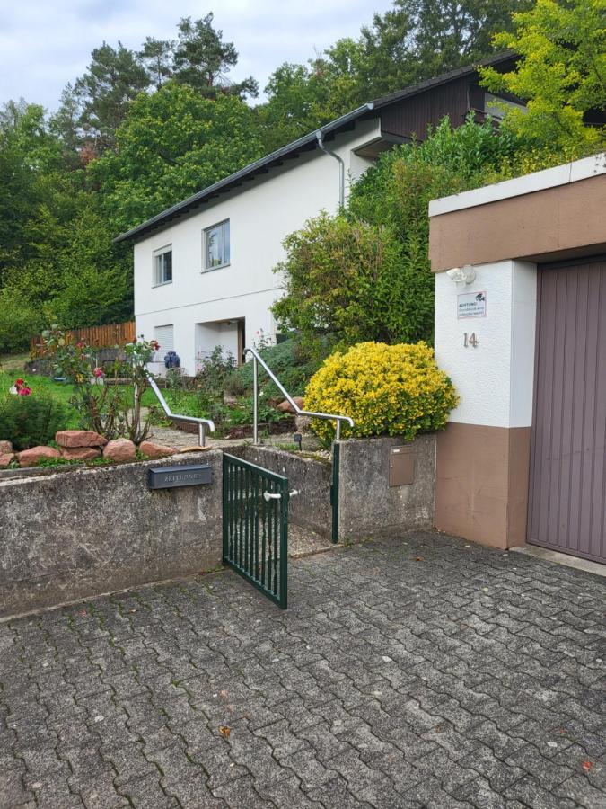 Apartment Betzenberg, Nur Netflix Kaiserslautern Exteriör bild