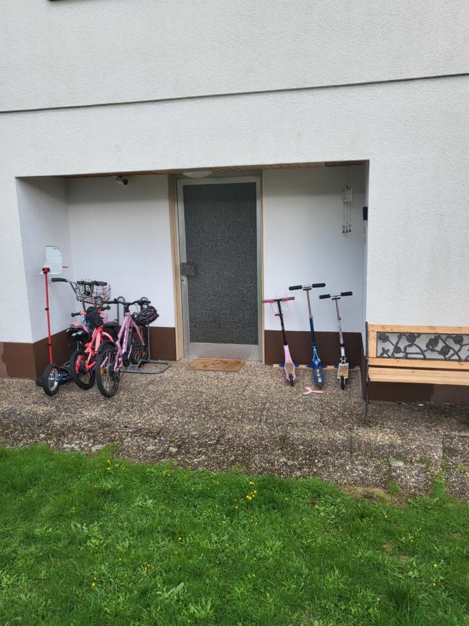 Apartment Betzenberg, Nur Netflix Kaiserslautern Exteriör bild